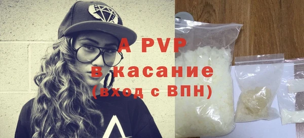 сатива Новокубанск
