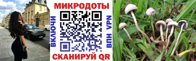 Галлюциногенные грибы Psilocybine cubensis  Кущёвская 